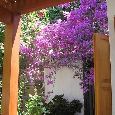 Villa Tarnos Gumusluk