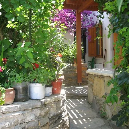 Tarnos Villa *
